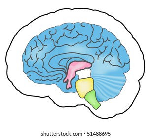 blue human brain. mesh