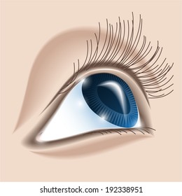Blue human eye close-up