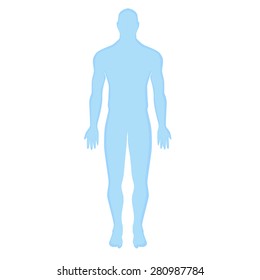 Blue Human Silhouette On A White Background. Modern Medical Vector Infographics. Medic Anatomy