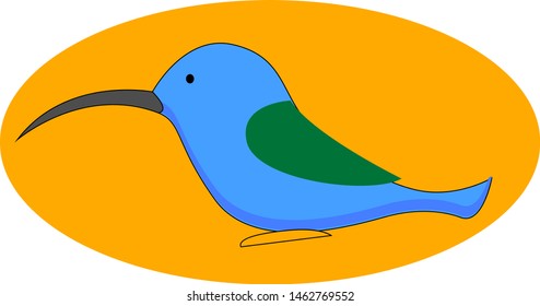 Blue hummingbird, illustration, vector on white background.