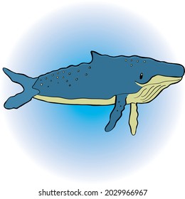 blue humpback whale as a children's drawing