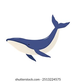 Icono de ballena jorobada azul. Animal marino. Ilustración vectorial.