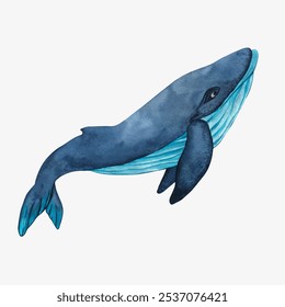 Blue humpback whale on white background. Watercolor illustration of cute cartoon whale. Sea animals in underwater world. Children's picture of big sea fish. Vector