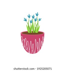 jacintos azules en una maceta de cerámica de frambuesa aislada en imagen de fondo blanco. Diseño de postales, entrega de flores, pegatinas. Ilustración vectorial.