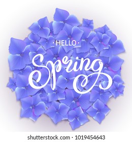 Blue Hydrangea Background and Spring Hand Lettering Isolated On Blue Background. Vector Illustration