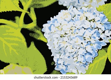 Ilustración vectorial de color botánico de la flor azul Hydrangea.