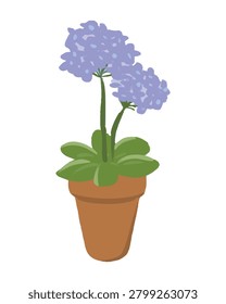 Blue hydrangea potted plant vector illustration beautiful hand drawn chalk crayon texture
