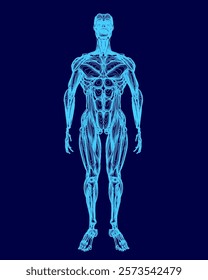 Blue image of a human body with a skeletonized appearance. The image is of a man standing with his arms crossed