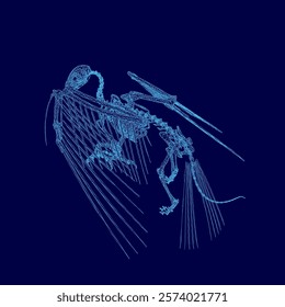 Blue image of a skeleton bird with a long tail. The bird appears to be flying, with its wings spread out and its body stretched out