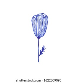 Blue ink hand drawn flower tulip isolate on white background 