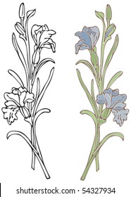 Blue Iris - Click on my portfolio for more in this series