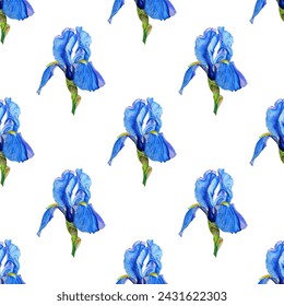 Blue iris flower isolated on white background vector seamless pattern. Dark blue bud, light transparent petals. Iris blossom blue flower with delicate petals.