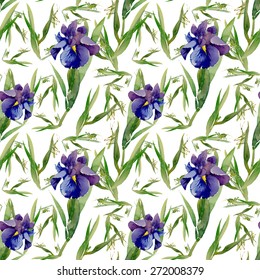 Blue iris flowers with bee watercolor seamless pattern on white background vector illustration