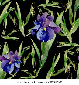 Blue iris flowers with bee watercolor seamless pattern on black background vector illustration