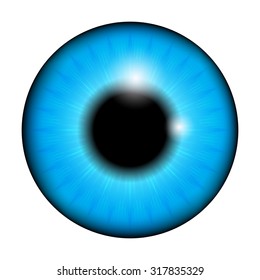 blue Iris, pupil of the eye, eye ball. Realistic vector illustration isolated on white background.