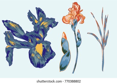 Blue Iris Vector Element Pack