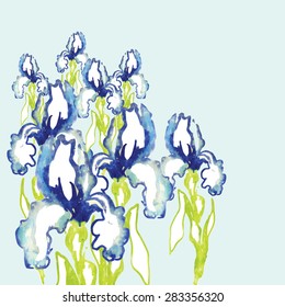 blue iris watercolor vector background