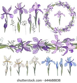 Blue irises - elements. Isolated objects, wreath and endless border