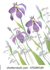 blue irises and wild flowers on a white background. Summer postcard.