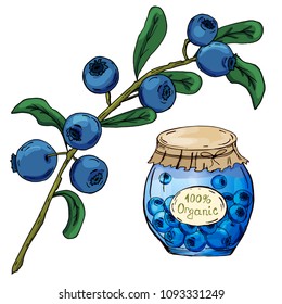 Blue jam. Hand drawing. A bright beautiful berry. Healthy diet. Vitamins. For your design.