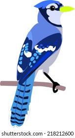 blue jay