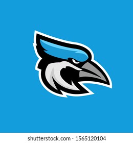 blue jay bird color head mascot logo icon designs vector illustration