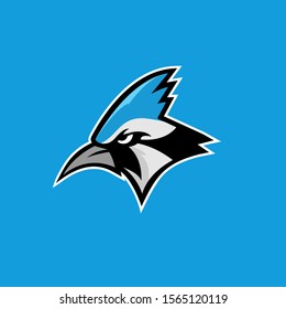 blue jay bird color head mascot logo icon designs vector illustration