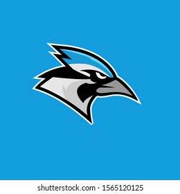 blue jay bird color head mascot logo icon designs vector illustration