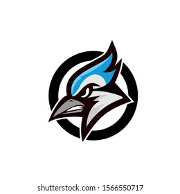 blue jay bird color head mascot logo icon designs vector illustration