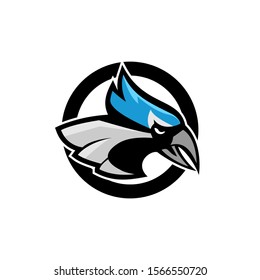 blue jay bird color head mascot logo icon designs vector illustration
