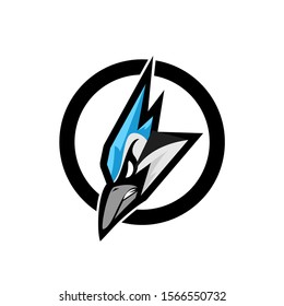 blue jay bird color head mascot logo icon designs vector illustration