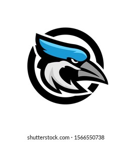 1,045 Blue jay Stock Vectors, Images & Vector Art | Shutterstock