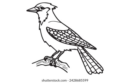 Blue Jay bird coloring page for kids