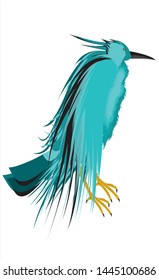 blue jay bird design vector illustration