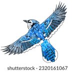 Blue jay bird with geometris color, white background, vector ilustration