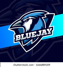 blue jay bird head mascot esport logo design