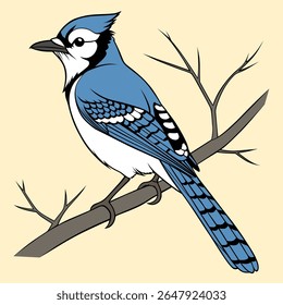 Blue Jay Bird Ilustração Vida Selvagem Natureza Avian Fauna