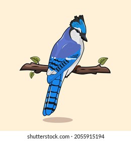 Blue Jay Vector Art & Graphics