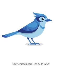 
Blue Jay bird isolated flat vector illustration on white background