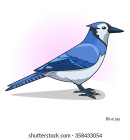 Blue Jay Cartoon Images Stock Photos Vectors Shutterstock