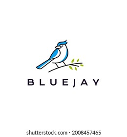 Blue jay bird logo design vector illustration