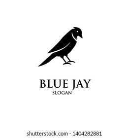 blue jay bird logo icon designs vector illustration