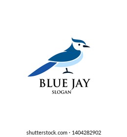 blue jay bird logo icon designs vector illustration