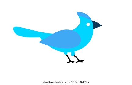 blue jay bird logo icon design vector illustartion