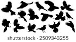 Blue jay bird silhouette collection