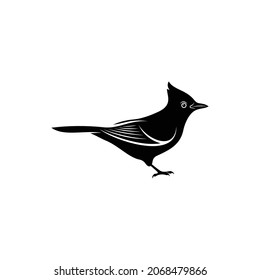 Blue jay bird silhouette vector illustration design with creative shape
