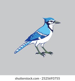 Blue Jay bird vector artwork