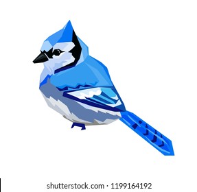Blue Jay Bird Vector Illustration.