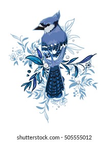 Blue Jay bird Vector Illustration, bird vector. Hand Drawn Vector Illustration of  bird. A beautiful illustration of a winter bird. winter illustration.