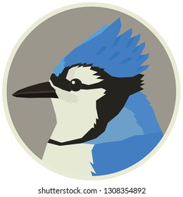 Blue Jay bird Wildlife Vector animals Round frame set